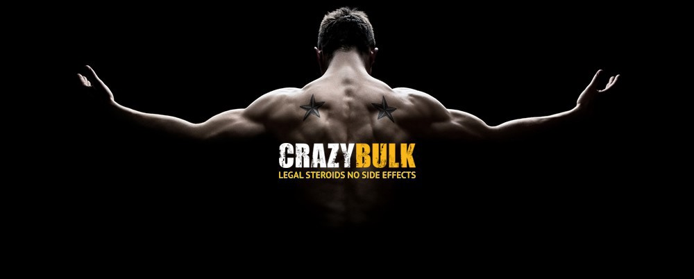 best dry bulk steroid cycle